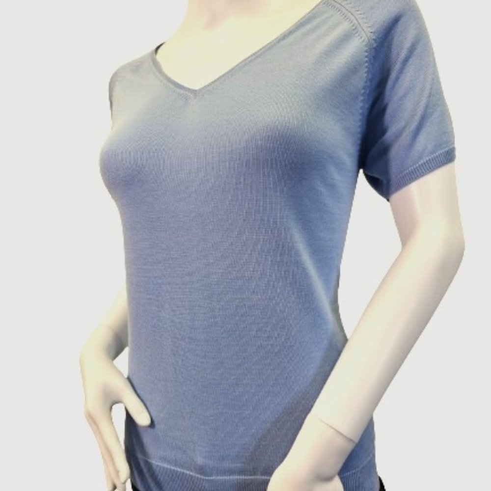 Blue Brooks Brothers Lage Sized V-Neck Tee Shirt